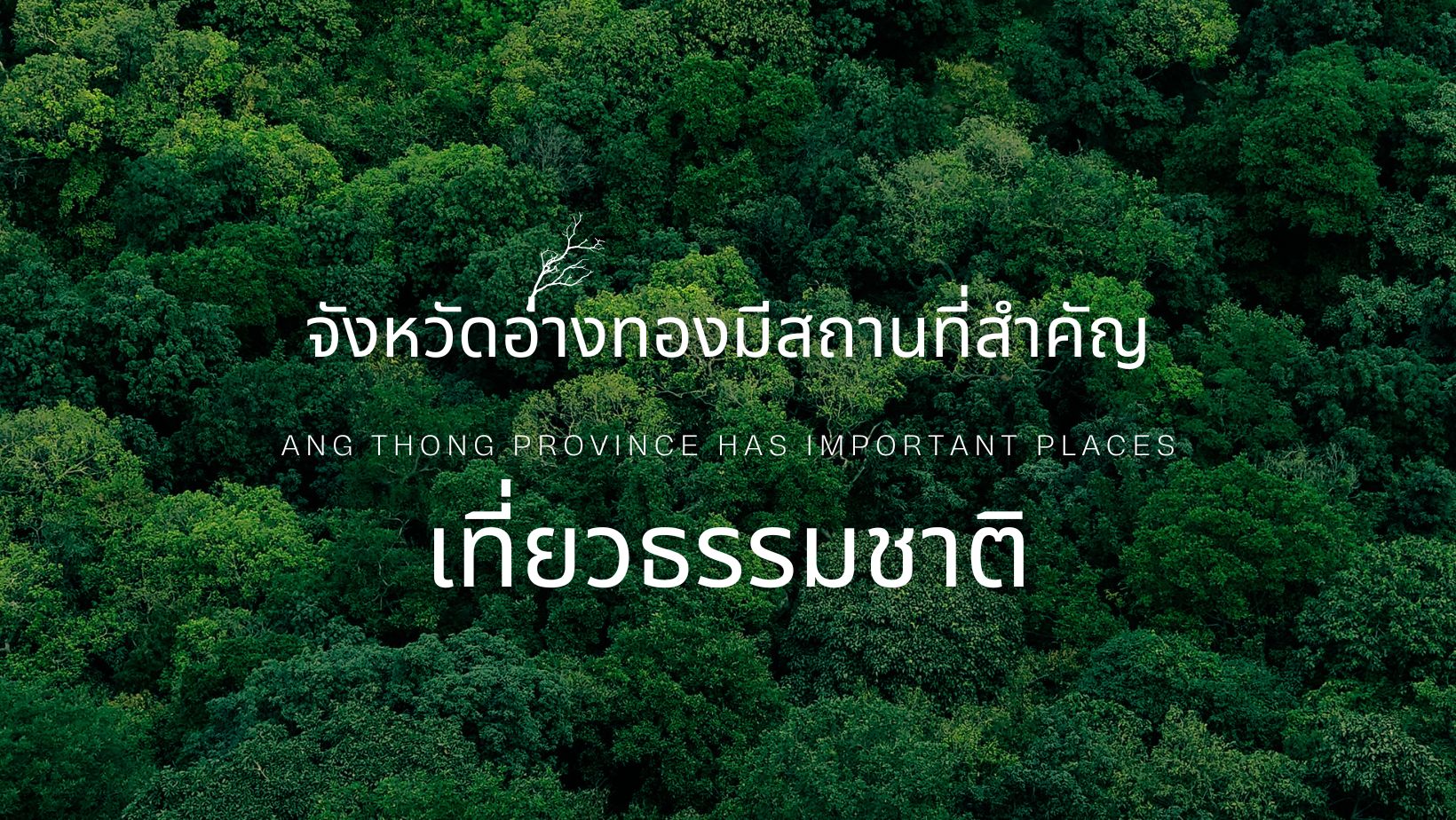 อ่างทอง เป็นจังหวัดเล็กๆ ที่ตั้งอยู่ในภาคกลางของประเทศไทย มีทั้งความงดงามทางธรรมชาติและประวัติศาสตร์ที่น่าสนใจ