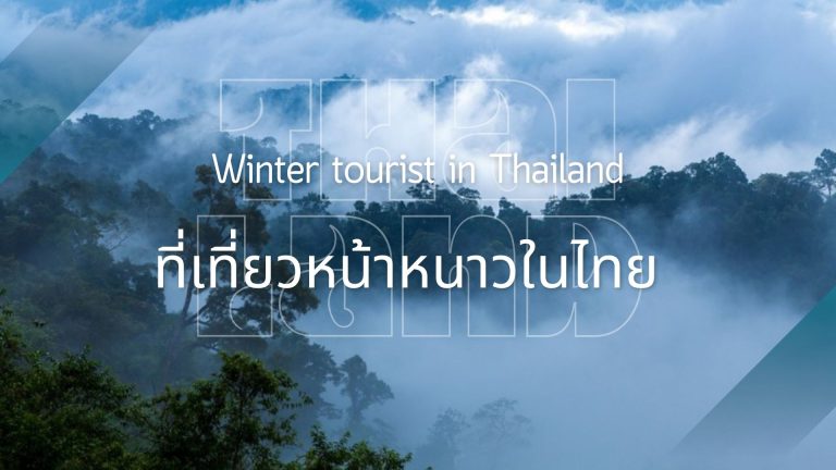 ค้นหา ที่เที่ยวหน้าหนาวในไทย ที่ห้ามพลาด! พบกับสถานที่ท่องเที่ยวสุดชิคจากเชียงใหม่, ภูเก็ต, ปาย, เขาค้อ และที่อื่น ๆ ที่จะทำให้ทริปหน้าหนาว
