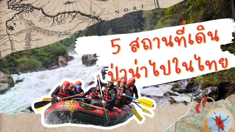 สำรวจ 5 สถานที่เดินป่าน่าไปในไทย ที่จะพาคุณใกล้ชิดธรรมชาติ พร้อมข้อมูลเดินทาง และเคล็ดลับสำหรับสายแอดเวนเจอร์